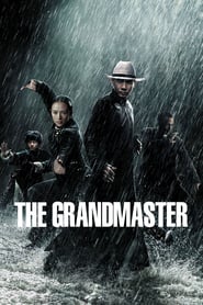 The Grandmaster (2013)